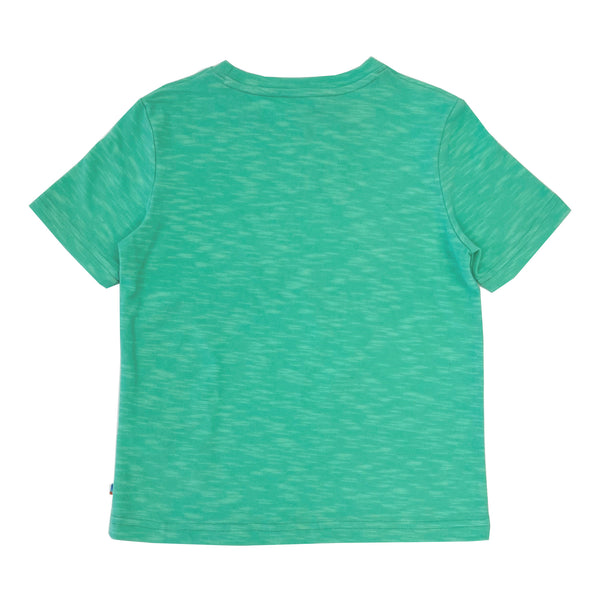 Boy's SS Crew Neck Swimming Dolphins Tee