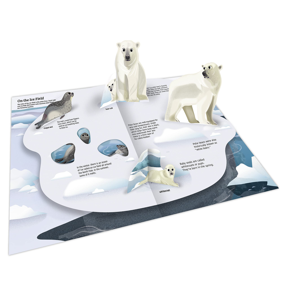 Ultimate Spotlight: Polar Animals - My Little J