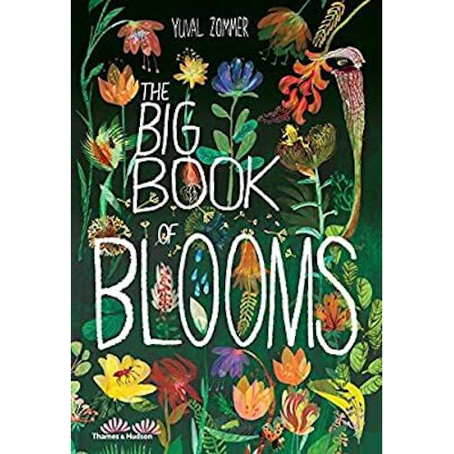Big Book of Blooms - My Little J