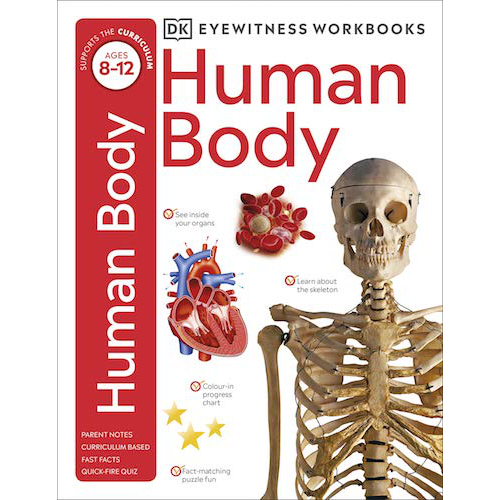 Human Body (Workbook)