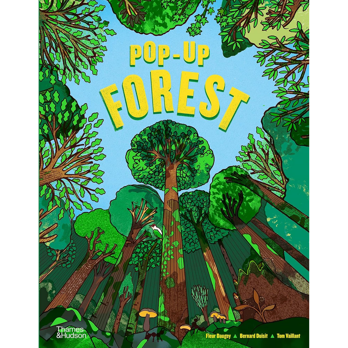 Pop-Up Forest - My Little J
