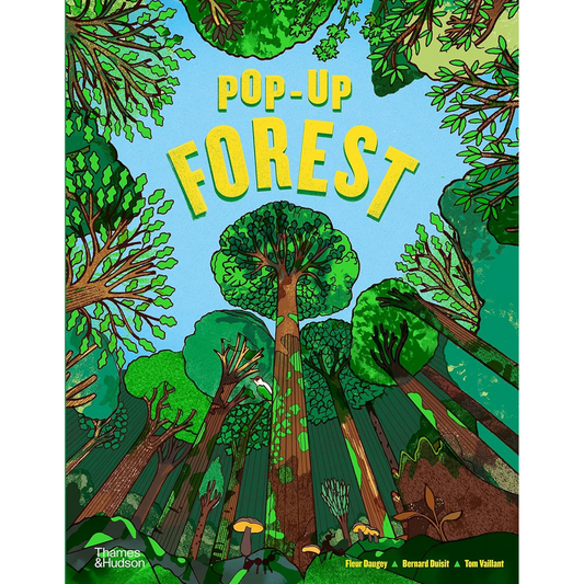 Pop-Up Forest - My Little J