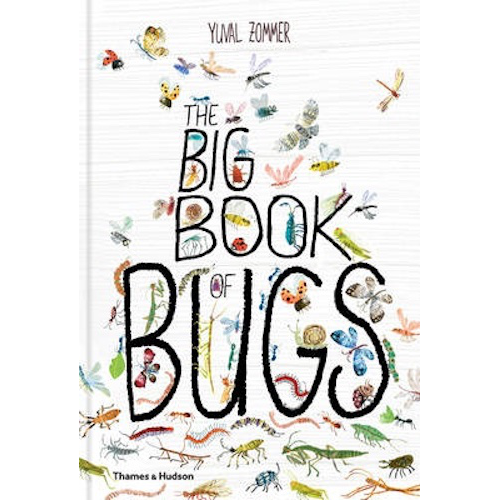 The Big Book of Bugs - My Little J