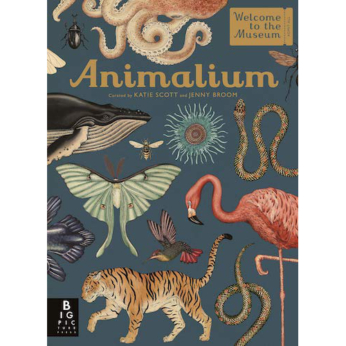 Animalium