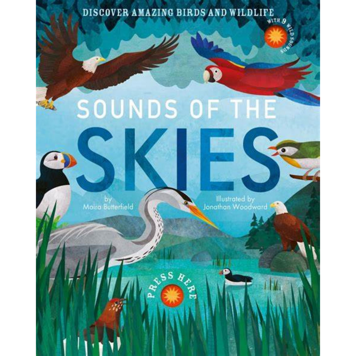 Sounds of the Skies - My Little J