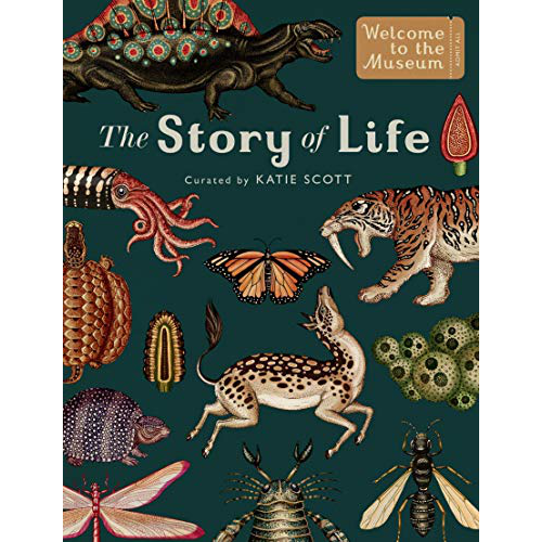 The Story of Life: Evolution (Extended Edition) - My Little J