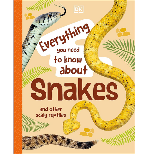 Everything You Need to Know About Snakes - My Little J