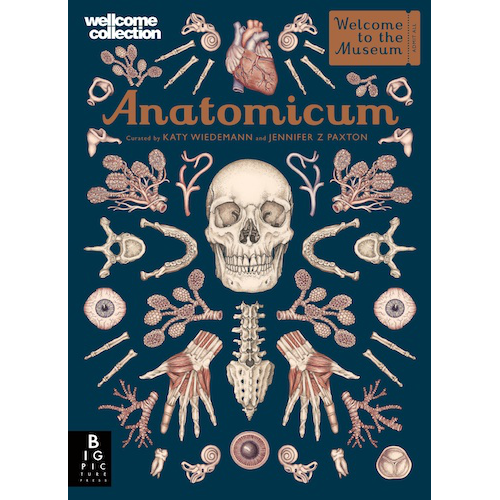 Anatomicum - My Little J