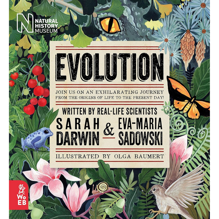 Where Are You Really From?: Our amazing evolution, what race really is and what makes us human