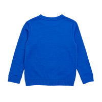 Boy's LS Knit Crew Neck Yeti Pullover