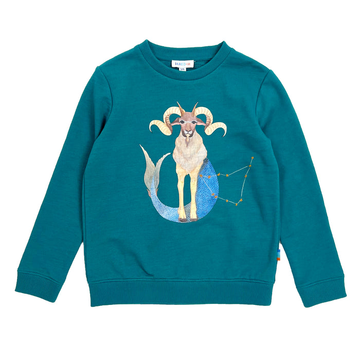 Boy's LS Knit Crew Neck Capricorn Pullover - My Little J