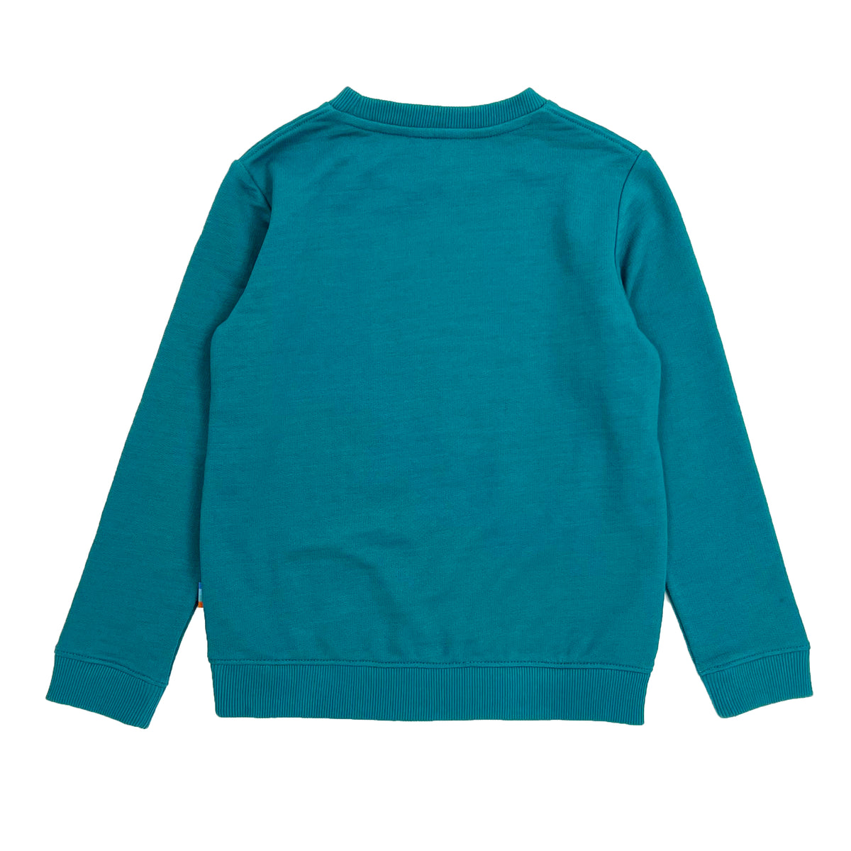 Boy's LS Knit Crew Neck Capricorn Pullover - My Little J