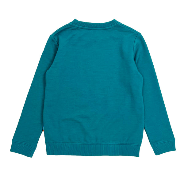 Boy's LS Knit Crew Neck Capricorn Pullover - My Little J