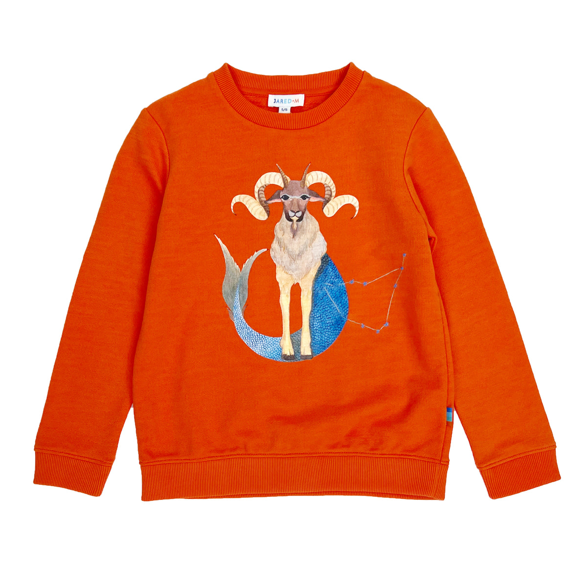 Boy's LS Knit Crew Neck Capricorn Pullover - My Little J