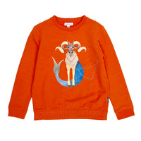Boy's LS Knit Crew Neck Capricorn Pullover - My Little J