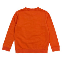 Boy's LS Knit Crew Neck Capricorn Pullover - My Little J