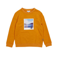 Boy's LS Knit Crew Neck Loch Ness Monster Pullover