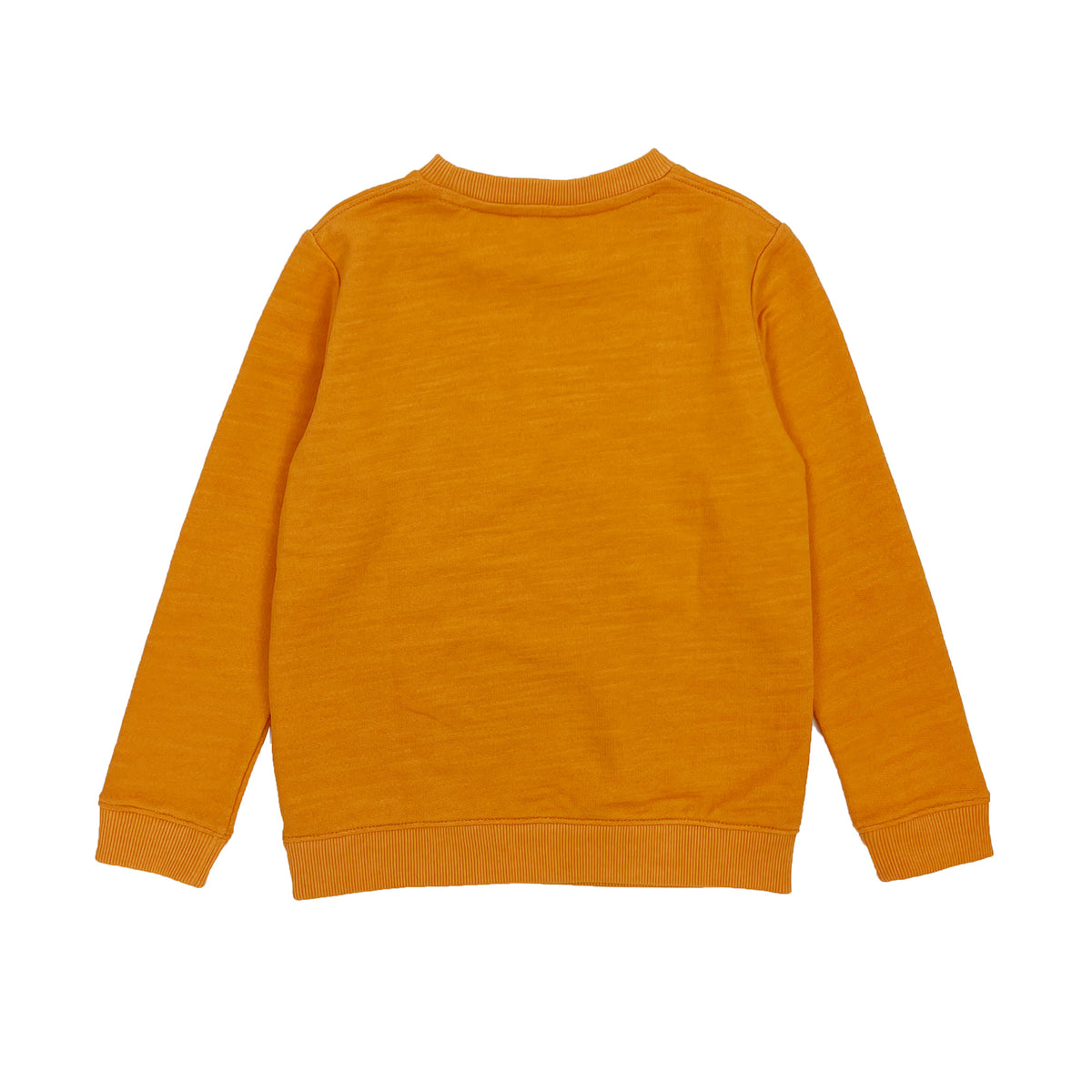 Boy's LS Knit Crew Neck Loch Ness Monster Pullover