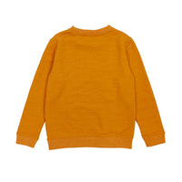 Boy's LS Knit Crew Neck Loch Ness Monster Pullover