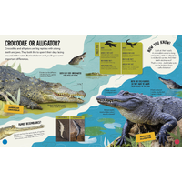 What's the Difference? Animals : Spot the difference in the animal kingdom!