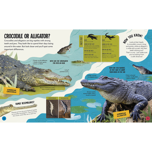 What's the Difference? Animals : Spot the difference in the animal kingdom! - My Little J