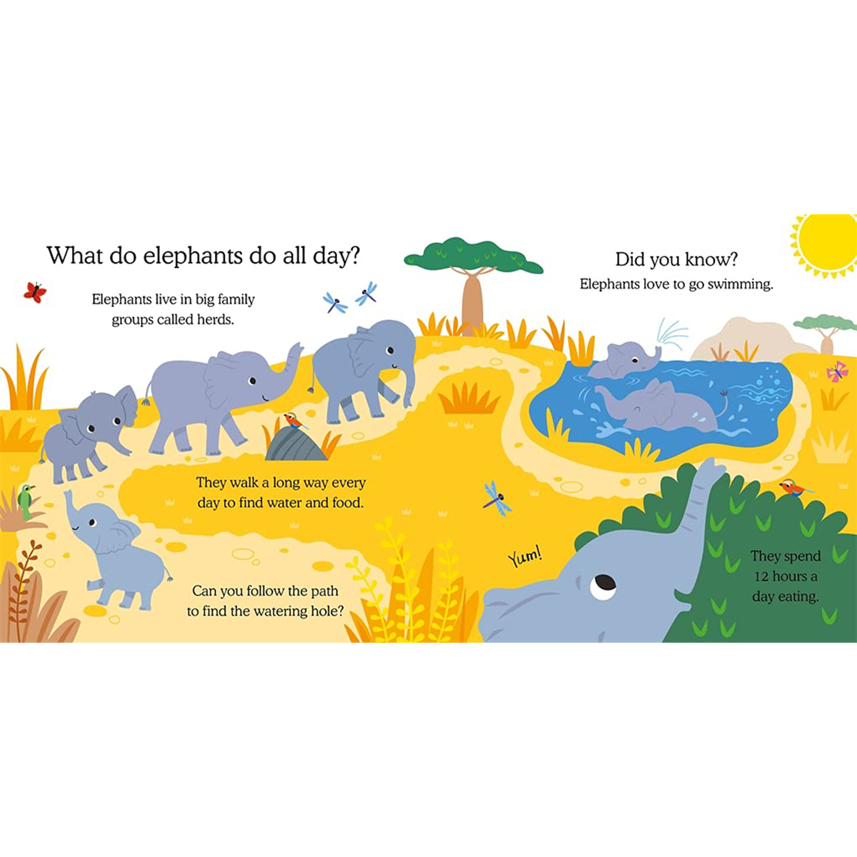 What Do Animals Do All Day?: Elephant : Lift the Flap Board Book - My Little J