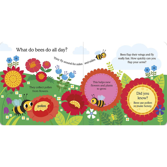 What Do Animals Do All Day?: Honeybee : Lift the Flap Board Book - My Little J