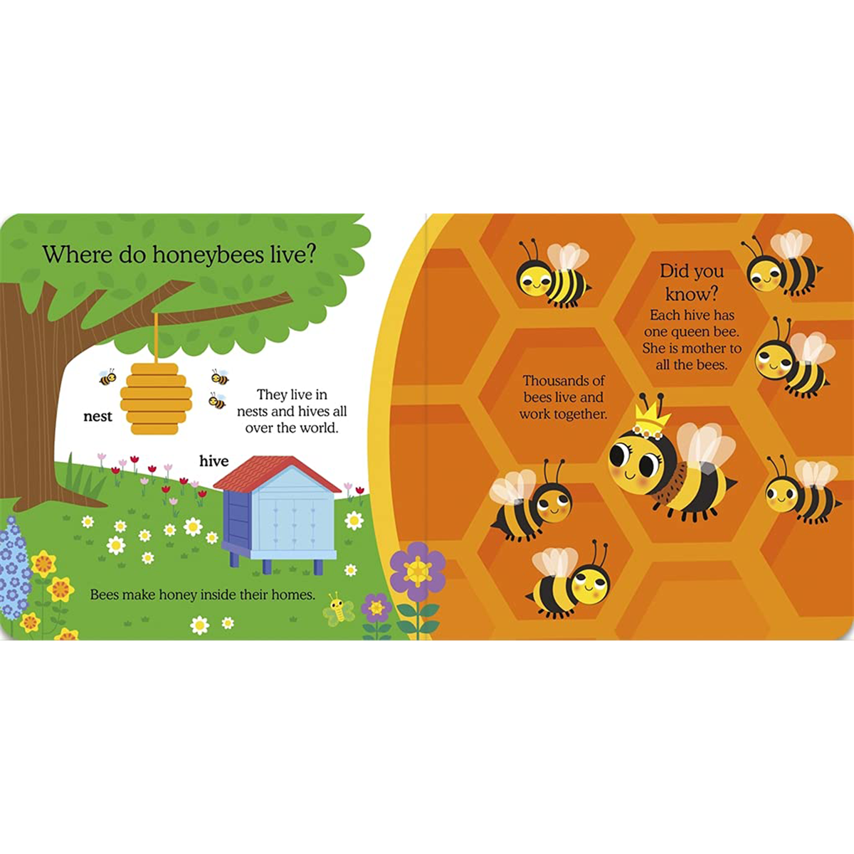 What Do Animals Do All Day?: Honeybee : Lift the Flap Board Book - My Little J
